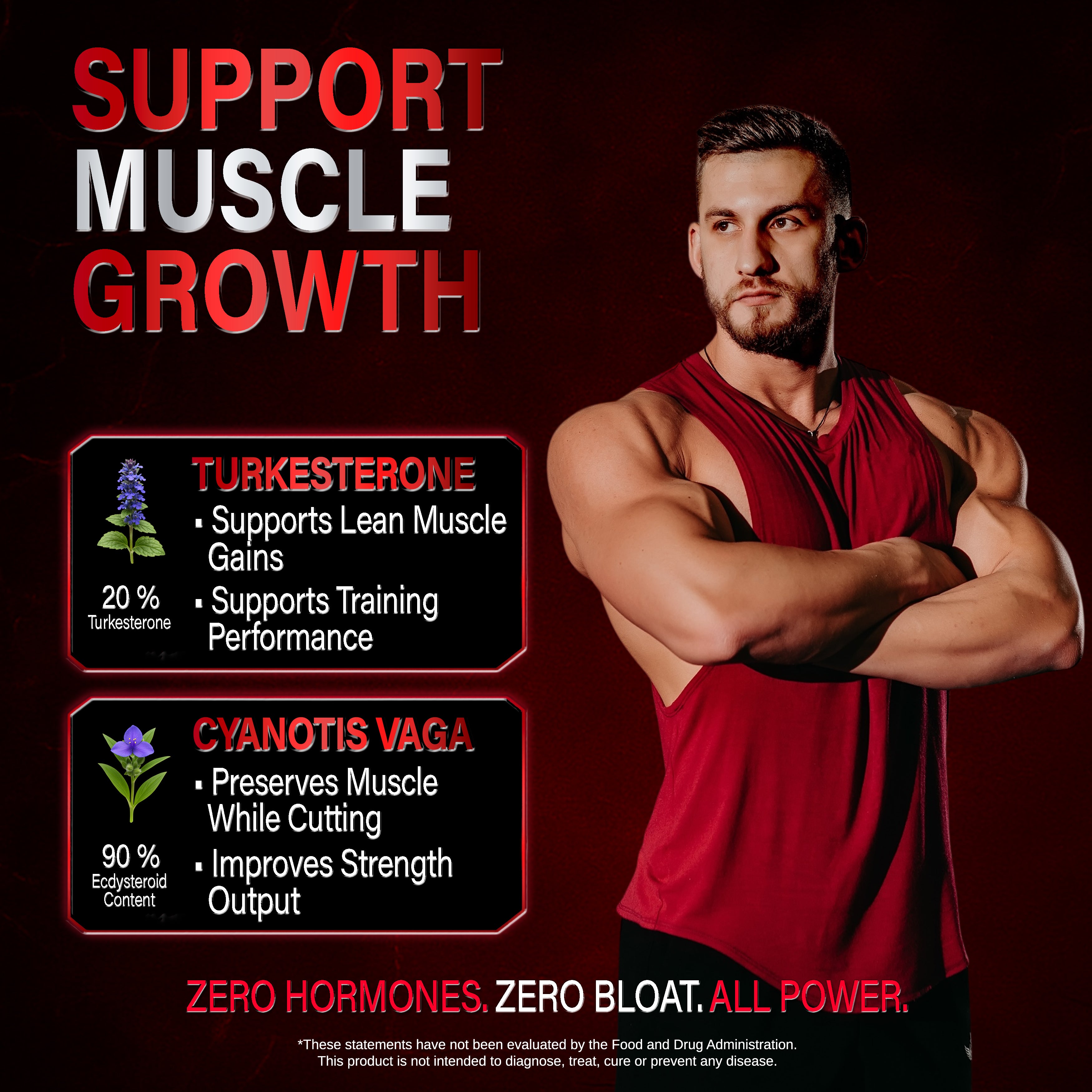 Alpha Male Complex - Gummies | High-Potency Men's Health Formula | Tongkat Ali, Shilajit, Turkesterone & More