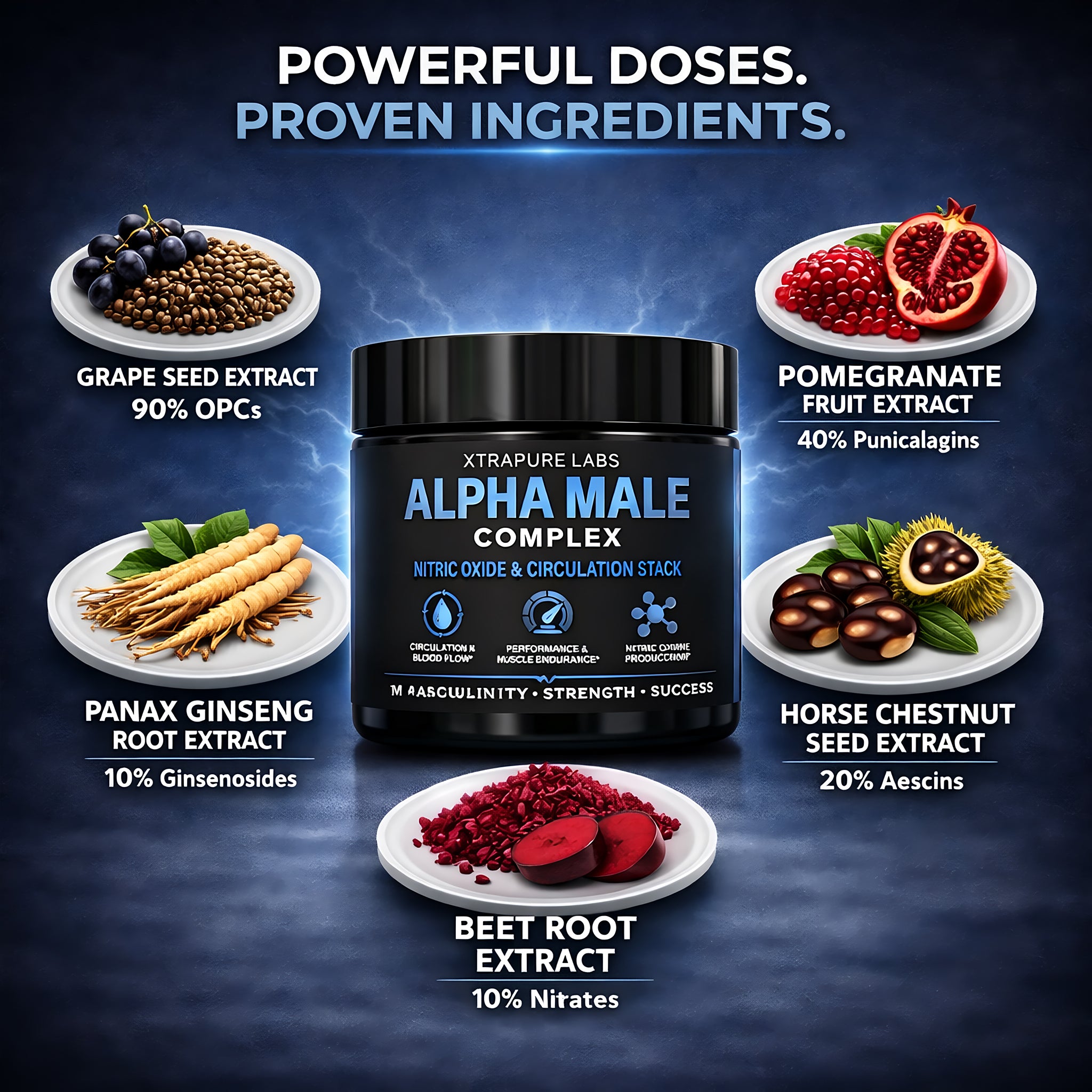 Alpha Male Complex – Nitric Oxide & Circulation High-Potency Performance & Blood Flow Support for Men | Clinically-Standardized Extracts | 60 Capsules