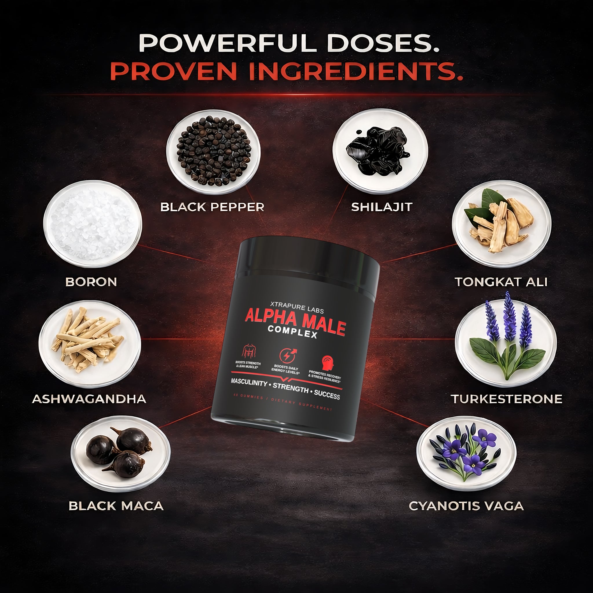 Alpha Male Complex - Gummies | High-Potency Men's Health Formula | Tongkat Ali, Shilajit, Turkesterone & More