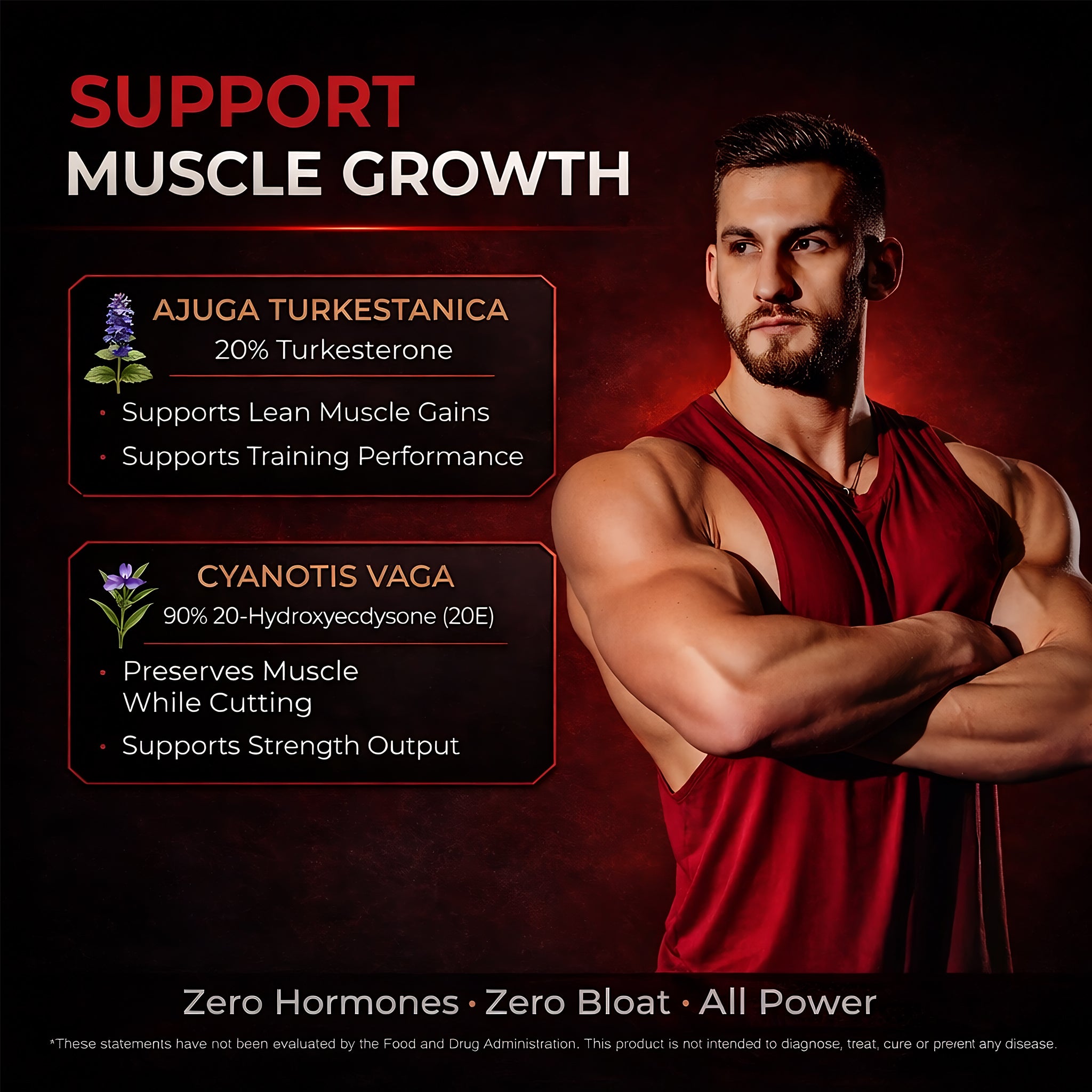 red4main new.jpg__PID:d2406349-0a31-4c18-b1a1-8db59908dfa8